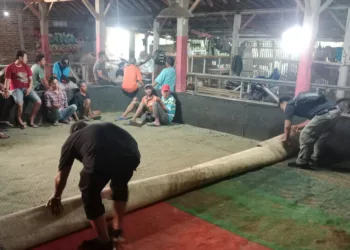 Polres Kendal Bantah Pelaku Judi Sabung Ayam di Boja Dibebaskan 28 Proses penggerebekan judi sabung ayam di Desa Meteseh, Kecamatan Boja, Kabupaten Kendal, pada Sabtu, 6 Juli 2025. (Dok. Polres Kendal/Lingkarjateng.id)