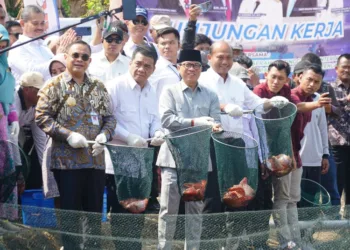Menteri Desa dan Pembangunan Daerah Tertinggal (Mendes PDT) Yandri Susanto bersama Direktur Jenderal Perikanan Budidaya Kementerian Kelautan dan Perikanan (KKP) dan Bupati Pati Sudewo saat meninjau lokasi tambak budi daya ikan nila salin di Desa Dororejo, Kecamatan Tayu, Kabupaten Pati, Kamis, 24 Juli 2025. (Dok. Pemprov Jateng/Lingkarjateng.id)