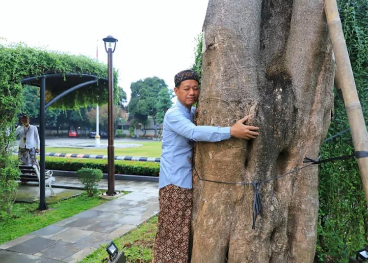 Peluk Pohon, Cara Bupati Kudus Gaungkan Kesehatan Mental 25 Bupati Kudus Sam’ani Intakoris saat memeluk pohon di depan Halaman Pendopo Kabupaten Kudus belum lama ini. (Mohammad Fahtur Rohman/Lingkarjateng.id)