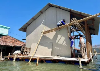 BEKERJA: Suasana para tukang menyelesaikan pembangunan rumah apung di Desa Timbulsloko, Kecamatan Sayung, Kabupaten Demak pada Sabtu, 2 Agustus 2025. (M. Burhanuddin Aslam/Lingkarjateng.id)