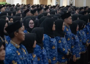 Ilustrasi: Guru berstatus PPPK. (Antara/Lingkarjateng.id)