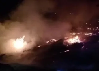 TERBAKAR: Situasi kebakaran kandang ayam di Desa Tegalsuruh, Kecamatan Sragi, Kabupaten Pekalongan, Minggu, 3 Agustus 2025 malam. (Polres Pekalongan/Lingkarjateng.id)