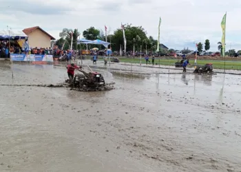 Suasana lomba balap traktor di Desa Sumub Lor, Kecamatan Sragi, Kabupaten Pekalongan, pada Kamis, 28 Agustus 2025. (Fahri Akbar/Lingkarjateng.id)
