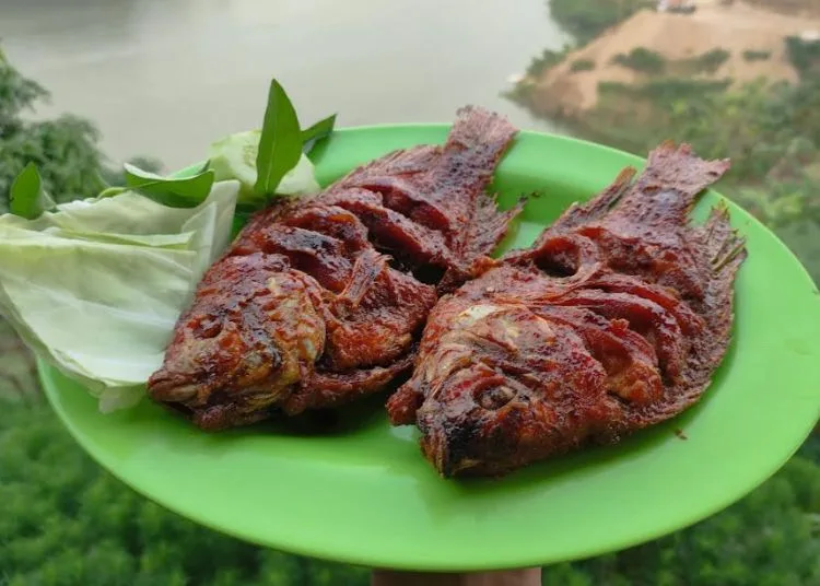 Mencicipi Nikmatnya Ikan Bakar di Kawasan Wisata Bendungan Logung Kudus 25 SEDAP: Sepiring ikan bakar, kuliner khas dari Kawasan Wisata Bendungan Logung Desa Kandangmas, Kecamatan Dawe, Kabupaten Kudus. (Nisa Hafizhotus Syarifa/Lingkarjateng.id)