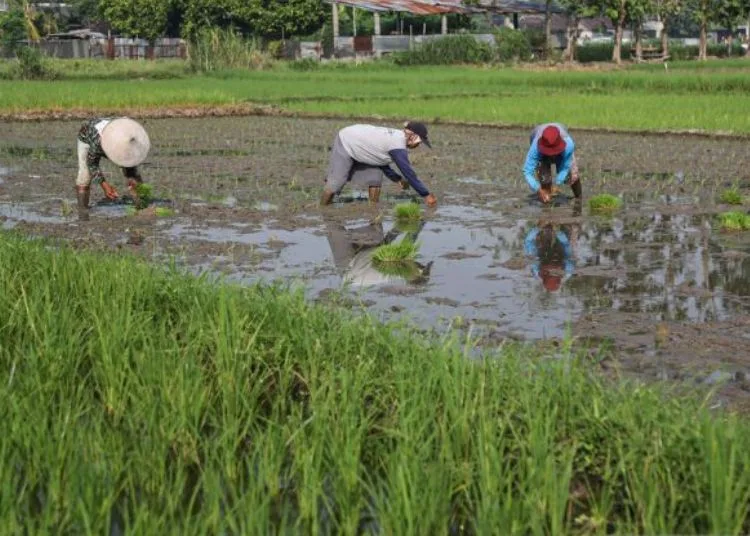 Mohammad Saleh Apresiasi Pertumbuhan Ekonomi Jateng