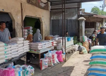 Salah seorang pekerja menurunkan beras dari truk untuk dimasukan di gudang salah satu grosir di Pasar Blauran, Salatiga, Jumat, 29 Agustus 2025. (Angga Rosa/Lingkarjateng.id)