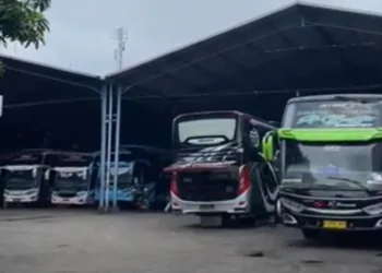 Armada Perusahaan Otobus (PO) Haryanto. (Nisa Hafizhotus S/Lingkarjateng.id)
