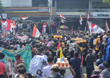 Keberadaan bendera one piece di tengah demo Pati 13 Agustus 2025. (Lingkarjateng.id)