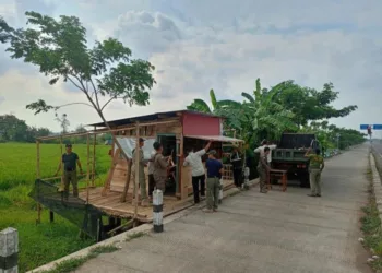 Petugas Satpol P3KP Kota Pekalongan saat melakukan pembongkaran bangunan liar di kawasan Exit Tol Pekalongan, Kamis sore, 21 Agustus 2025. (Fahri Akbar/Lingkarjateng.id)