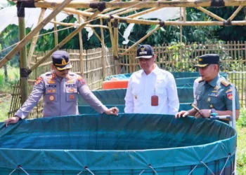 Bupati Jepara, Witiarso Utomo, meninjau Kompi Produksi Ketahanan Pangan milik Kodim 0719/Jepara di Desa Suwawal Timur, Kecamatan Pakis Aji, pada Rabu, 27 Agustus 2025. (Tomi Budianto/Lingkarjateng.id)