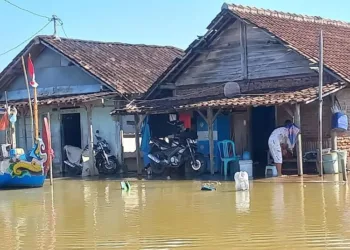 Pemukiman di Kendal yang terdampak banjir rob. (Arvian Maulana/Lingkarjateng.id)