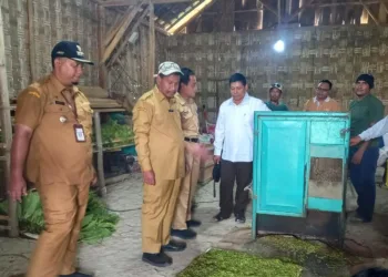 Bupati Rembang Harno (kedua kiri) bersama jajaran meninjau produksi tembakau di Desa Karangharjo, Kecamatan Sulang. Senin, 29 September 2025. (Muhammad Faalih/Lingkarjateng.id)