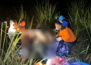 EVAKUASI: Tim Polresta Pati mengevakuasi mayat di kebun tebu Desa Mulyoharjo, Kecamatan/Kabupaten Pati pada Rabu, 24 September 2025. (Lingkar Network/Lingkarjateng.id)