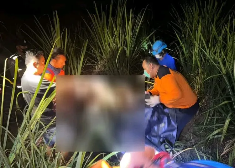 Mayat Perempuan Ditemukan di Kebun Tebu Mulyoharjo Pati 25 EVAKUASI: Tim Polresta Pati mengevakuasi mayat di kebun tebu Desa Mulyoharjo, Kecamatan/Kabupaten Pati pada Rabu, 24 September 2025. (Lingkar Network/Lingkarjateng.id)