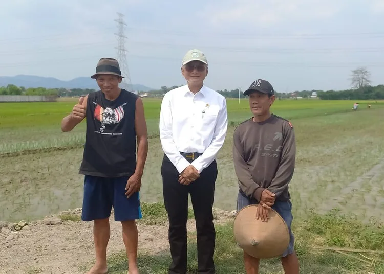 Menteri PU Berencana Fungsikan Bendungan Logung Kudus Jadi Sumber Air Baku 25 Menteri Pekerjaan Umum (PU) RI, Dody Hanggodo, saat berdialog dengan petani di area persawahan Desa Hadiwarno yang menjadi daerah irigasi Bendungan Logung, Kabupaten Kudus, pada Sabtu, 6 September 2025. (Mohammad Fahtur Rohman/Lingkarjateng.id)