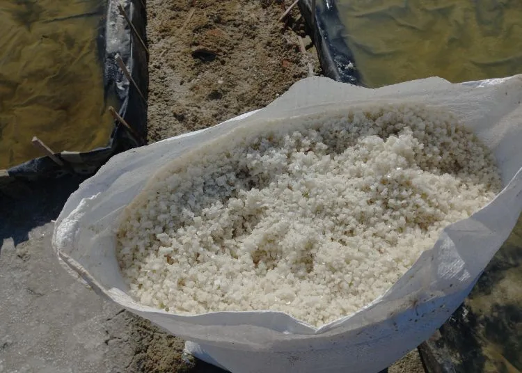 Khawatir Krisis Penerus, Petani Garam di Rembang Harapkan Harga Meningkat 26 garam 2