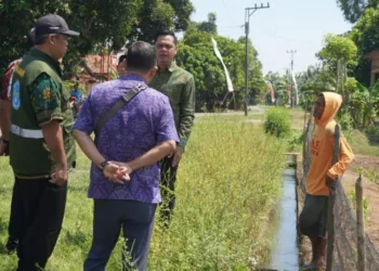 Bupati Jepara, Witiarso Utomo (Mas Wiwit) saat meninjau area pertanian di Desa Clering dan Desa Bandungharjo, Kecamatan Donorojo, pada Selasa, 23 September 2025. (Tomi Budianto/Lingkarjateng.id)