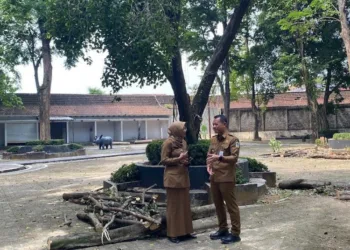 Bupati Kudus, Sam’ani Intakoris saat meninjau proses perimbasan pohon di Taman Krida, Senin, 8 September 2025. (Nisa Hafizhotus S/Lingkarjateng.id)