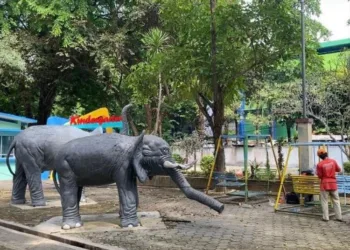 Kejar Target PAD Rp 3,8 Miliar, Disbudpar Kudus Optimalkan Upaya Ini 32 Pekerja sedang melakukan pembenahan di Taman Krida untuk meningkatkan kunjungan wisatawan. (Nisa Hafizhotus S/Lingkarjateng.id)