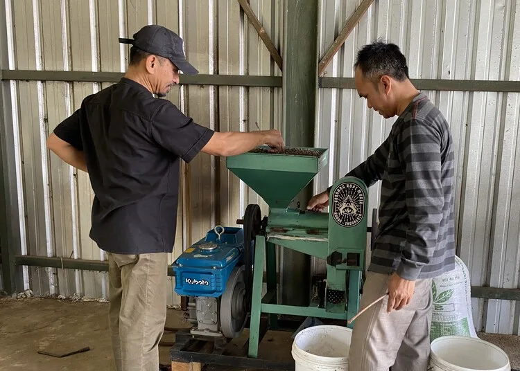 Petani Kopi Muria Kudus Dapat Bantuan Alat Senilai Ratusan Juta Rupiah 25 Pengurus Goodang Kopi saat sedang menggunakan alat kupas kopi bantuan dari PSBI. (Nisa Hafizhotus S./Lingkarjateng.id)