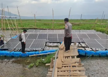 Mahasiswa dan petani tengah melakukan pengecekan PLTS yang baru saja terpasang di Rawa Pening, Desa Kesongo, Tuntang, Kabupaten Semarang. (Hesty Imaniar/Lingkarjateng.id)