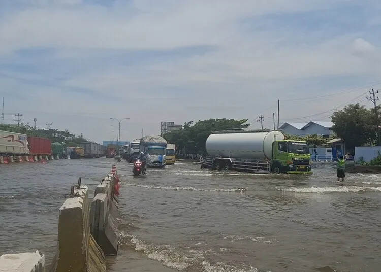 Modifikasi Cuaca di Semarang Diperpanjang, BPBD Akan Tambah Pesawat 25 Sejumlah kendaraan menerjang banjir di Jalan Pantura Kaligawe, Kota Semarang. (Syahril Muadz/Lingkarjateng.id)