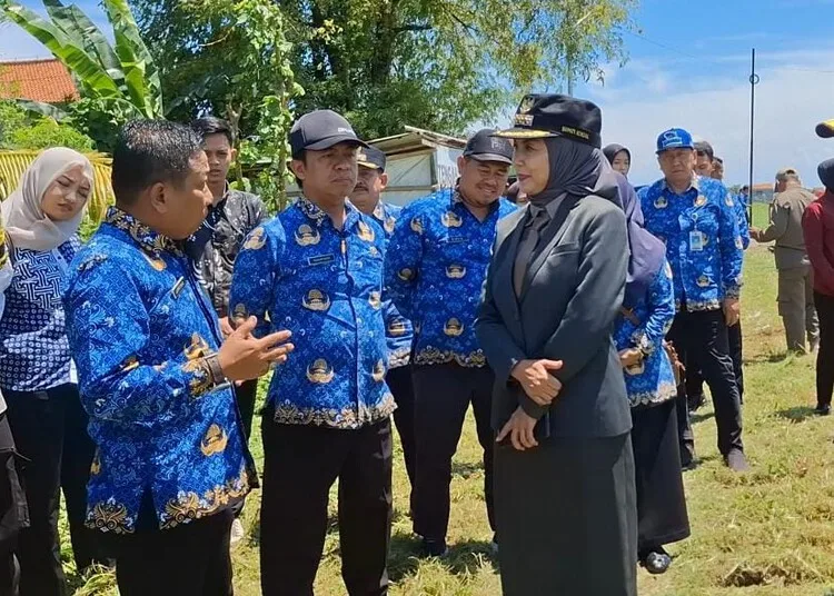 Bupati Kendal Dyah Kartika Permanasari meninjau pembersihan eceng gondok