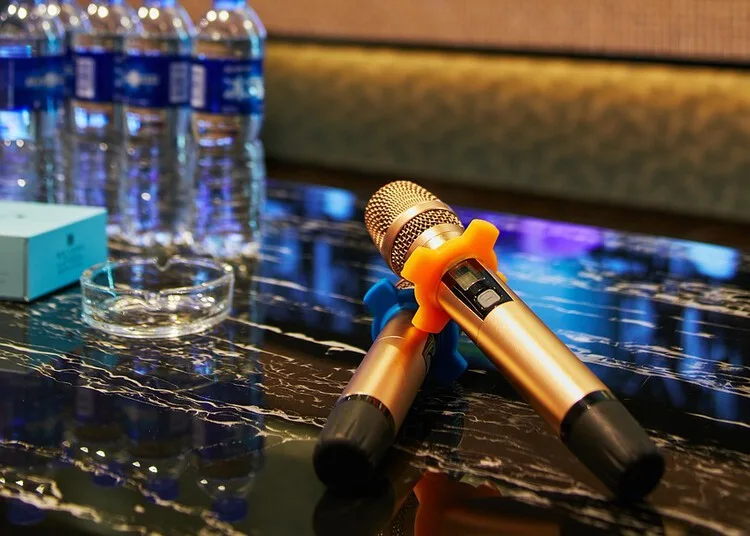 Ilustrasi: Mikrofon karaoke. (Pixabay/Lingkarjateng.id)