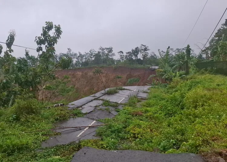 Longsor Sejak 2022, Jalan Alternatif Ungaran-Demak Kini Jadi Jurang Curam 25 Kondisi jalan alternatif Ungaran-Demak di Desa Kalongan, Ungaran Timur, Kabupaten Semarang, yang putus usai longsor pada 2022 lalu. (Hesty Imaniar/Lingkarjateng.id)
