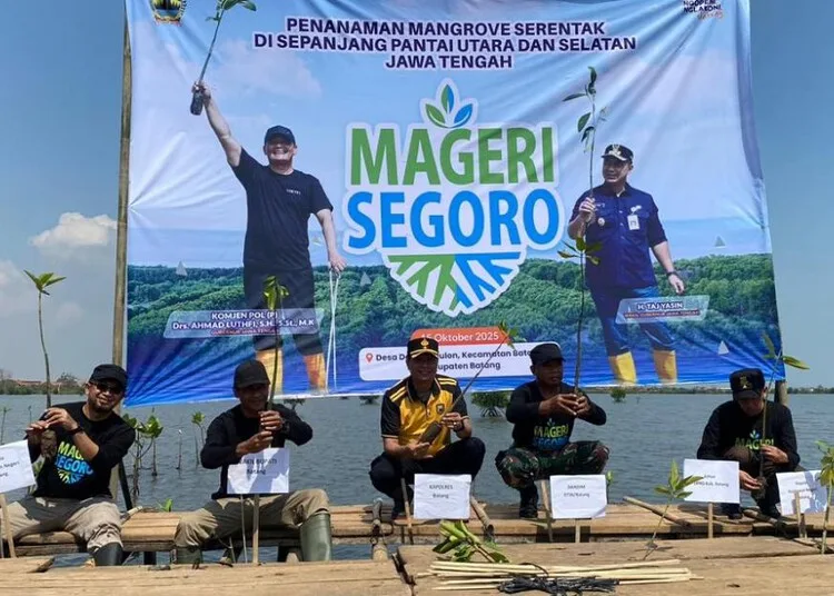 Dukung Program Mageri Segoro, Pemkab Batang Tanam 57.000 Bibit Mangrove 25 Penanaman bibit mangrove yang menjadi bagian program "Mageri Segoro" di Desa Denasri Kulon, Kabupaten Batang, Rabu, 15 Oktober 2025. (Humas Pemkab Batang/Lingkarjateng.id)