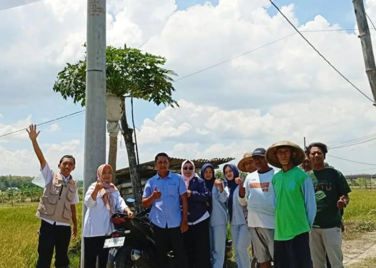 Pemkab Rembang Ajak Lebih Banyak Petani Gabung Program Gelisah, Apa Itu? 25 Pemerintah Kabupaten Rembang menggencarkan program gerakan listrik masuk sawah. (BPP Rembang/Lingkarjateng.id)