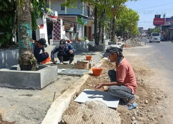 Pengerjaan proyek penataan area pedestrian di sepanjang Jalan A. Yani, Kabupaten Batang. (Humas Pemkab Batang/Lingkarjateng.id)
