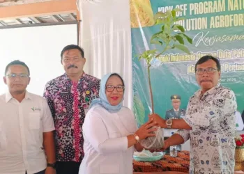 Kepala Desa Kedungrejo menerima bantuan bibit dari Kementerian Pertanian dalam acara acara Kick Off Program Nature Based Solution Agroforestri di Balai Desa Kedungrejo, Kecamatan Tunjungan pada Kamis, 30 Oktober 2025. (Eko Wicaksono/Lingkarjateng.id)