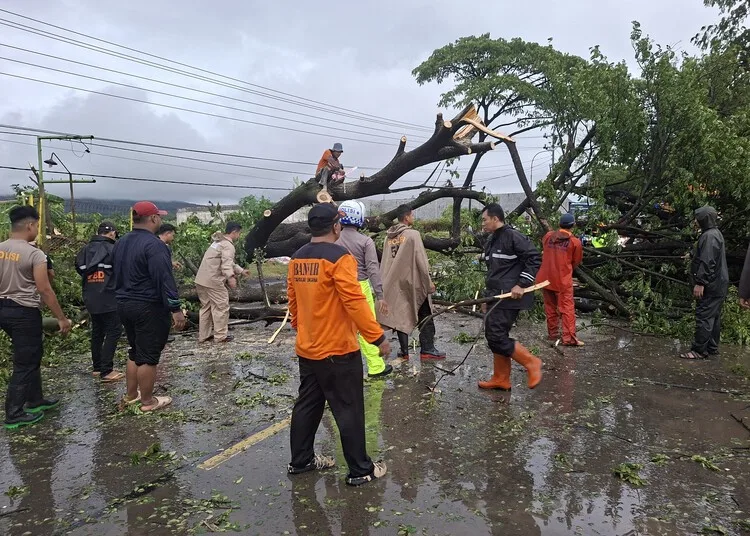 Pohon Tumbang Timpa Truk di Jalan Kudus-Pati, Arus Lalu Lintas Sempat Lumpuh 25 Tim gabungan saat mengevakuasi pohon tumbang di Jalan Kudus-Pati tepatnya di Desa Terban, Kecamatan Jekulo, Kabupaten Kudus, pada Jumat sore, 24 Oktober 2025. (Nisa Hafizhotus S./Lingkarjateng.id)