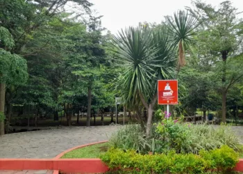 RTH Hutan Klorofil Kendal Jadi Sarana Edukasi dan Konservasi Tanaman Langka 31 RTH Hutan Klorofil yang berada di Kelurahan Kebondalem, Kecamatan/Kabupaten Kendal. (Anik Kustiani/Lingkarjateng.id)