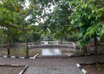 Punya Jogging Track, RTH Langenharjo Kendal Cocok Jadi Spot Olahraga Keluarga 29 Danau buatan dan fasilitas jogging track di RTH Langenharjo, Kabupaten Kendal. (Anik Kustiani/Lingkarjateng.id)
