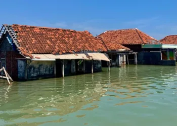 Sejumlah rumah di salah satu desa di Kecamatan Sayung, Kabupaten Demak, terendam rob. (M. Burhanuddin Aslam/Lingkarjateng.id)