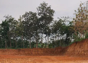 Tak Kantongi Izin, Tambang Galian C di Geneng Jepara Disegel 28 Tamang ilegal di Desa Geneng, Kecamatan Batealit, Kabupaten Jepara, yang kini telah disegel. (DLH Jepara/Lingkarjateng.id)
