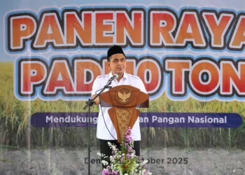 Pemprov Jateng Dukung Lomba Panen Padi 10 Ton per Hektare di Demak 28 Wakil Gubernur Jawa Tengah, Taj Yasin, saat menghadiri panen padi di Desa Tlogodowo, Kecamatan Wonosalam, Kabupaten Demak, Rabu, 10 Oktober 2025. (Humas Pemprov Jateng/Lingkarjateng.id)