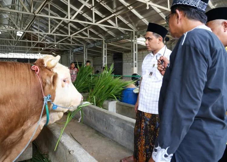 Wagub Jateng resmikan RPH 2