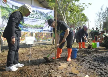 Wali Kota Semarang, Agustina Wilujeng Pramestusi, menanam cemara laut di Pantai Mangunharjo, Kecamatan Tugu, Rabu, 15 Oktober 2025. (Humas Pemkot Semarang/Lingkarjateng.id)