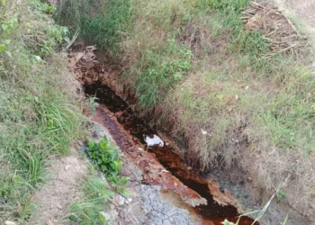 Penampakan luberan minyak mentah yang ada di Dukuh Gendono, Desa Gandu Kecamatan Bogorejo, Blora. (Eko Wicaksono/Lingkarjateng.id)