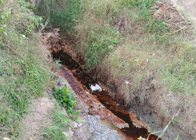 Rembesan Minyak Muncul Usai Penutupan Sumur Ilegal di Gandu Blora, Warga Cemas 25 Penampakan luberan minyak mentah yang ada di Dukuh Gendono, Desa Gandu Kecamatan Bogorejo, Blora. (Eko Wicaksono/Lingkarjateng.id)