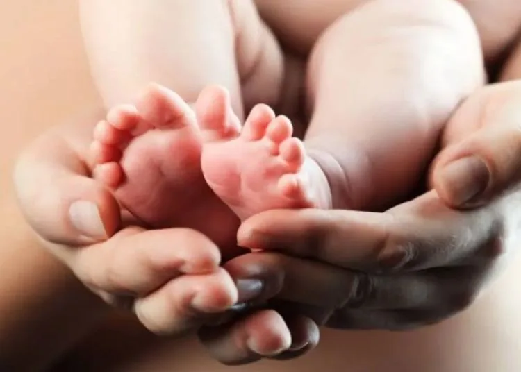 Mohammad Saleh Apresiasi Capaian Penurunan Stunting dan AKI/AKB Jateng 26 ilustrasi 10