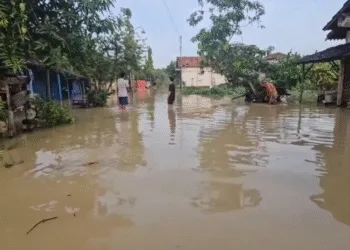 Kondisi rumah warga Desa Ketitang Wetan, Kecamatan Batangan, Kabupaten Pati yang terendam banjir, Jumat, 24 Oktober 2025. (Lingkar Network)