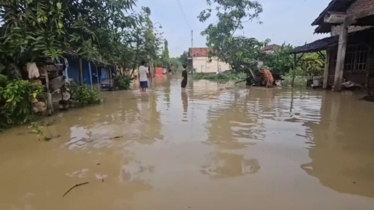 Tanggul Sungai Jebol, Ratusan Rumah di Batangan Pati Terendam Banjir 25 Kondisi rumah warga Desa Ketitang Wetan, Kecamatan Batangan, Kabupaten Pati yang terendam banjir, Jumat, 24 Oktober 2025. (Lingkar Network)