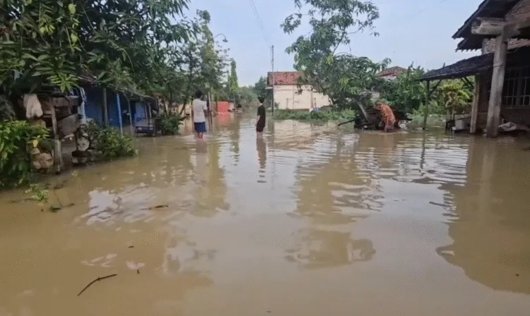 Kondisi rumah warga Desa Ketitang Wetan, Kecamatan Batangan, Kabupaten Pati yang terendam banjir, Jumat, 24 Oktober 2025. (Lingkar Network)