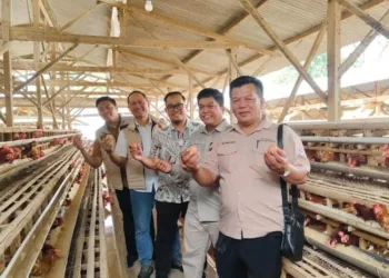 Bapanas dan rombongan saat mengunjungi peternak unggas di Kendal. (Dok. Pribadi/Lingkarjateng.id)