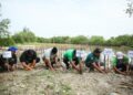 Kegiatan menanam mangrove di kawasan Pantai Tanggul Tlare, Kecamatan Kedung, Kabupaten Jepara, Sabtu, 22 November 2025. (Humas Pemprov Jateng)