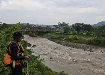 Tim Basarnas Jateng melanjutkan pencarian mahasiswa KKN yang hanyut di Sungai Genting Jolinggo, Desa Getas, Kecamatan Singorojo, Kabupaten Kendal pada Rabu, 5 November 2025. (Basarnas Jateng/Lingkarjateng.id)